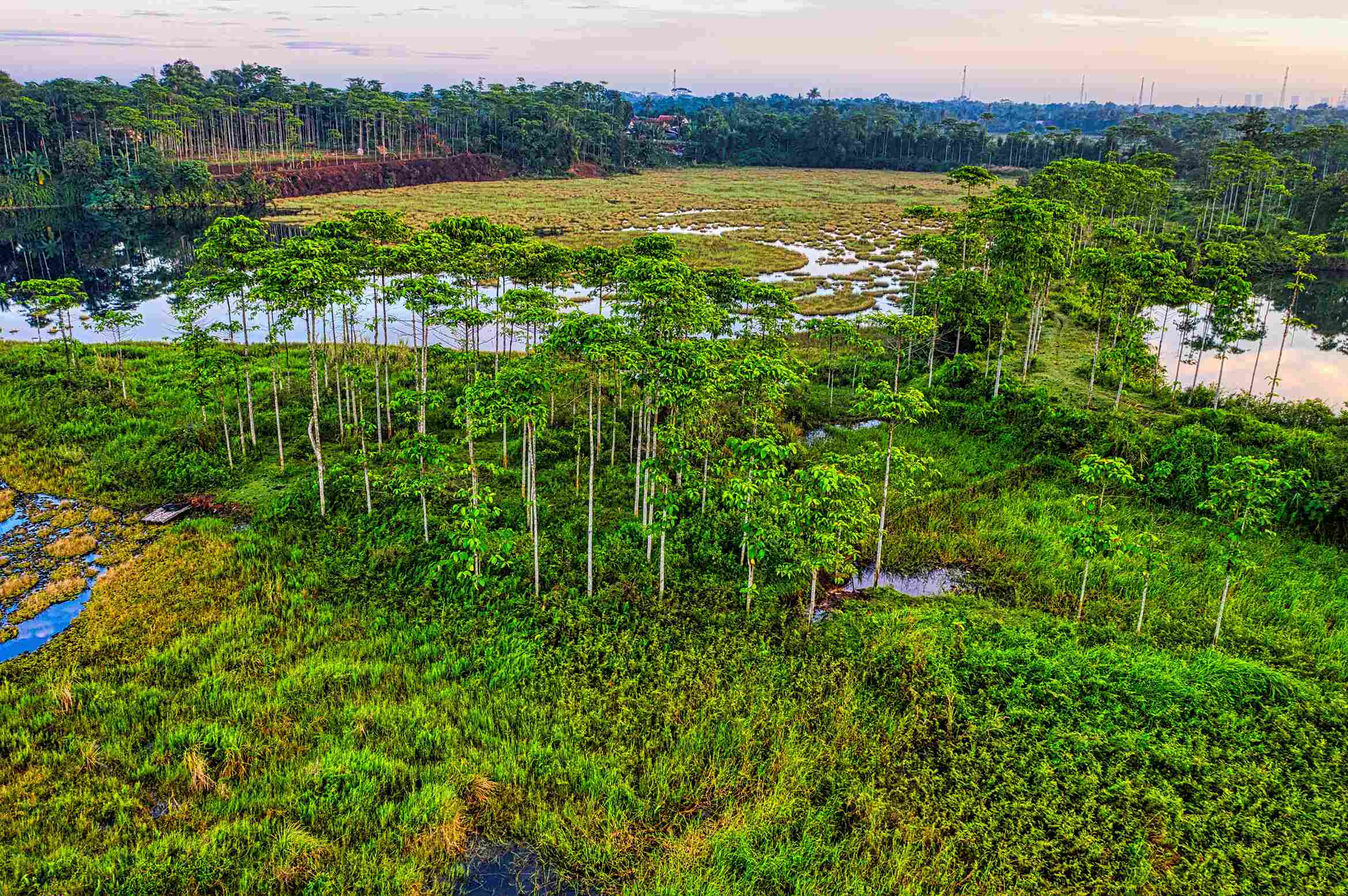 Alat Ukur Tinggi Muka Air Tanah (TMAT) menjadi solusi dalam pemantauan tinggi muka air tanah di lahan gambut secara akurat dan real-time.