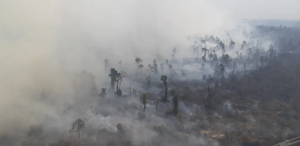 Pengelolaan Ekosistem Gambut Upaya Mitigasi Perubahan Iklim